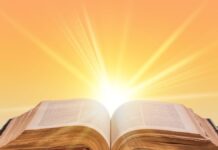 O poder da palavra de Deus Capa Podcast Reflexão da Bíblia com tema O poder da palavra de Deus