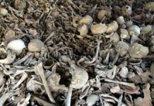 Profetiza para o Problema thumbnail do youtube da música Profetiza para o Problema