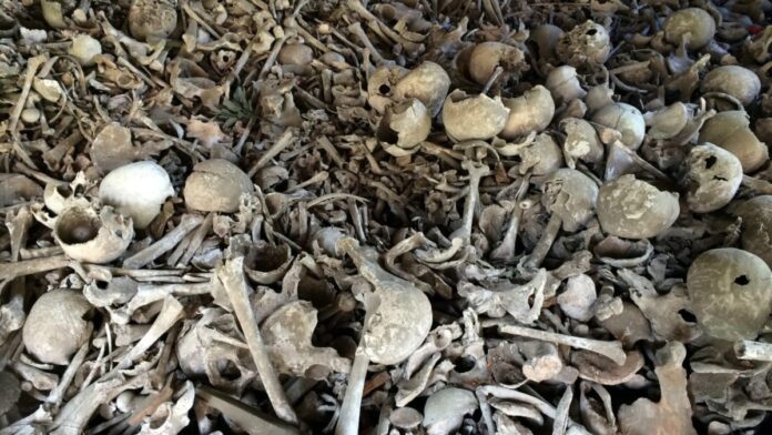 Profetiza para o Problema thumbnail do youtube da música Profetiza para o Problema