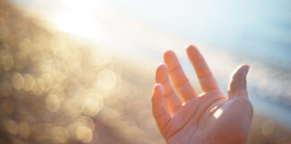 A gradeza da obra dos dedos de Deus Capa do podcast Reflexão da Bíblia com o tema A gradeza da obra dos dedos de Deus