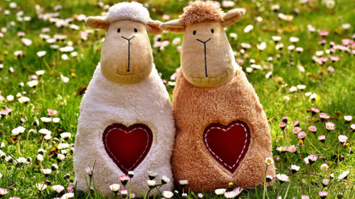 Conserve seu relacionamento com Deus em momento dificeis Capa do podcast Reflexão da Bíblia com o tema Conserve seu relacionamento com Deus em momento dificeis