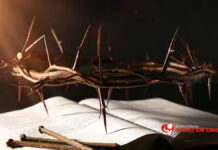 Como é que “o amor cobre multidão de pecados”? o amor cobre multidão de pecados