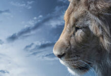 A Promessa da Palavra de Deus: Reflexões sobre Isaías 55.10-11