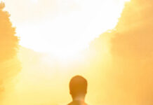 A Jornada de José: Lições de Perseverança e Propósito