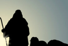 Experimentando o Cuidado e a Provisão de Deus: Reflexões a partir do Salmo 23