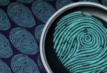 Abraçando nossa Identidade em Cristo: Reflexões a partir de Efésios 1:3-5